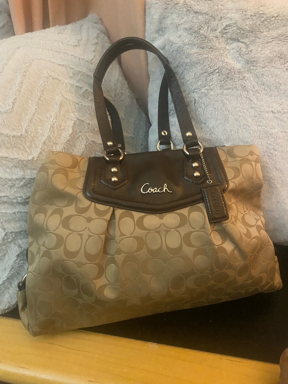 Coach Ashley Tan and Brown bag.